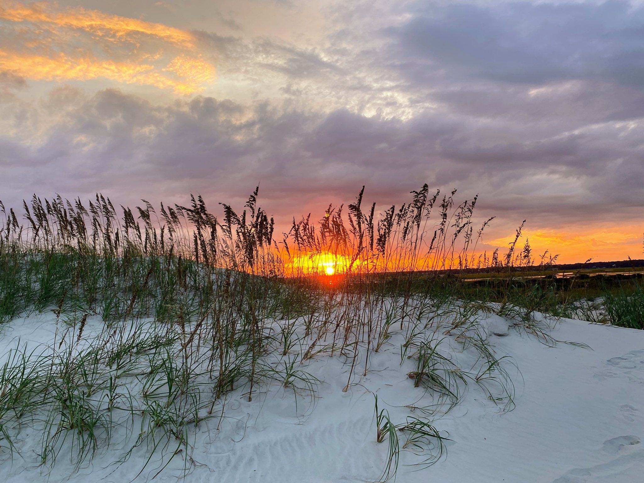 Golden sunset through coastal sea oats