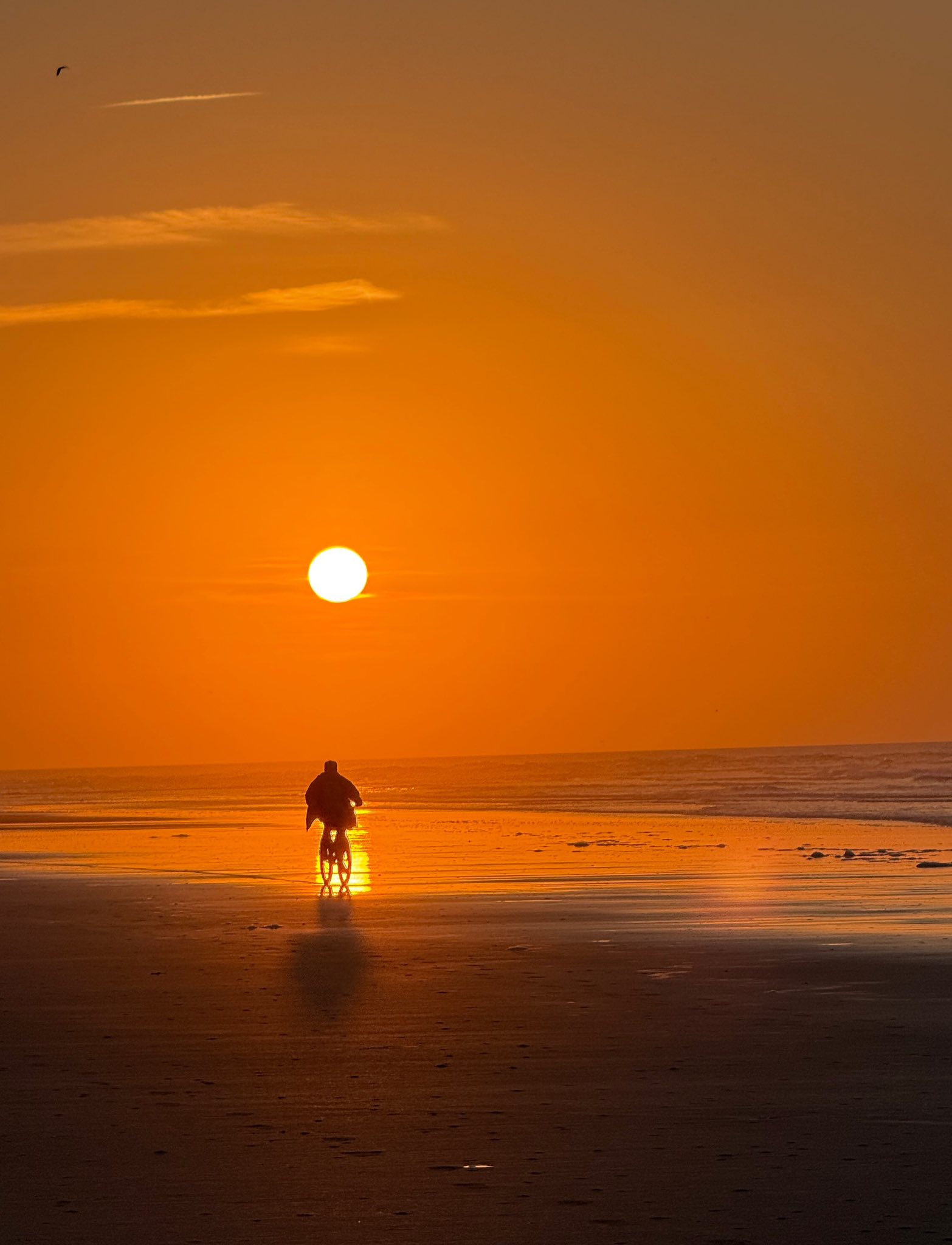 Beach cruiser ride into the sunrise